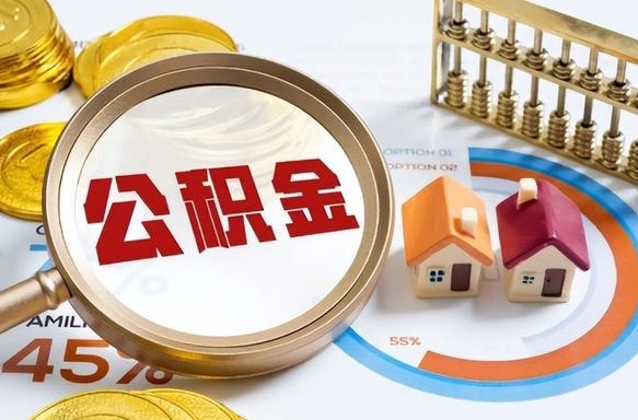 驻马店离职6个月后公积金无法提取（驻马店离职6个月后公积金无法提取 知乎）